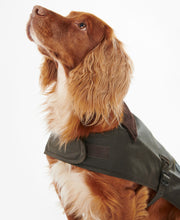Load image into Gallery viewer, Barbour Wax Dog Coat in Olive.
